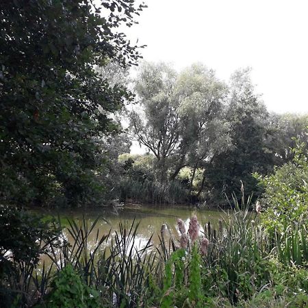Home Farm Birtsmorton Dış mekan fotoğraf
