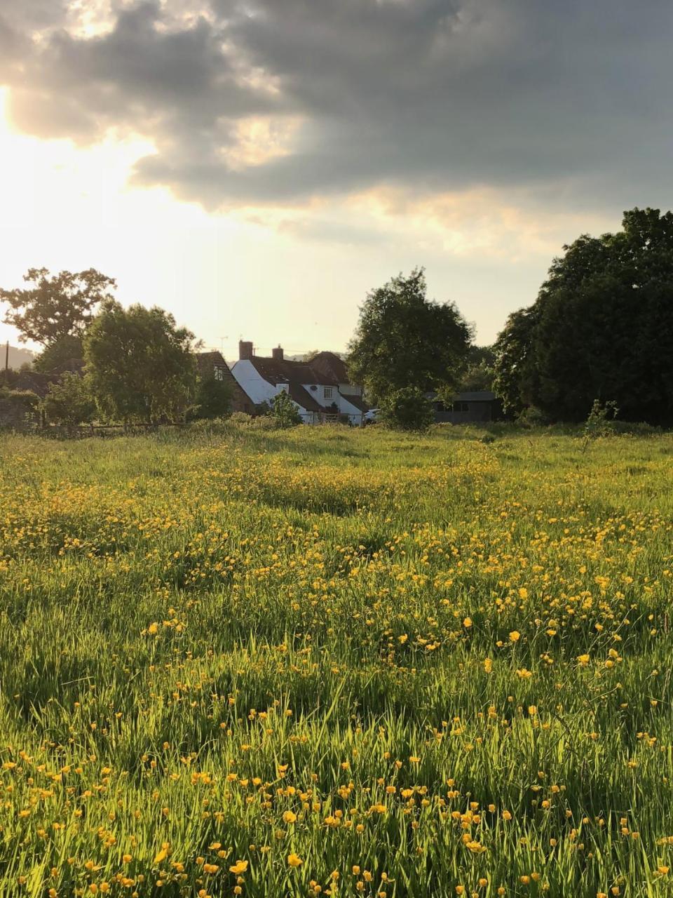 Home Farm Birtsmorton Dış mekan fotoğraf