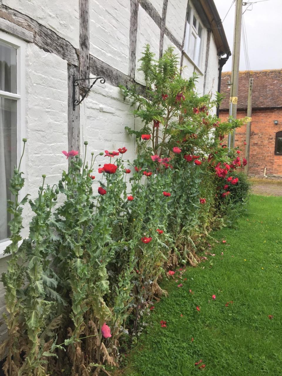Home Farm Birtsmorton Dış mekan fotoğraf